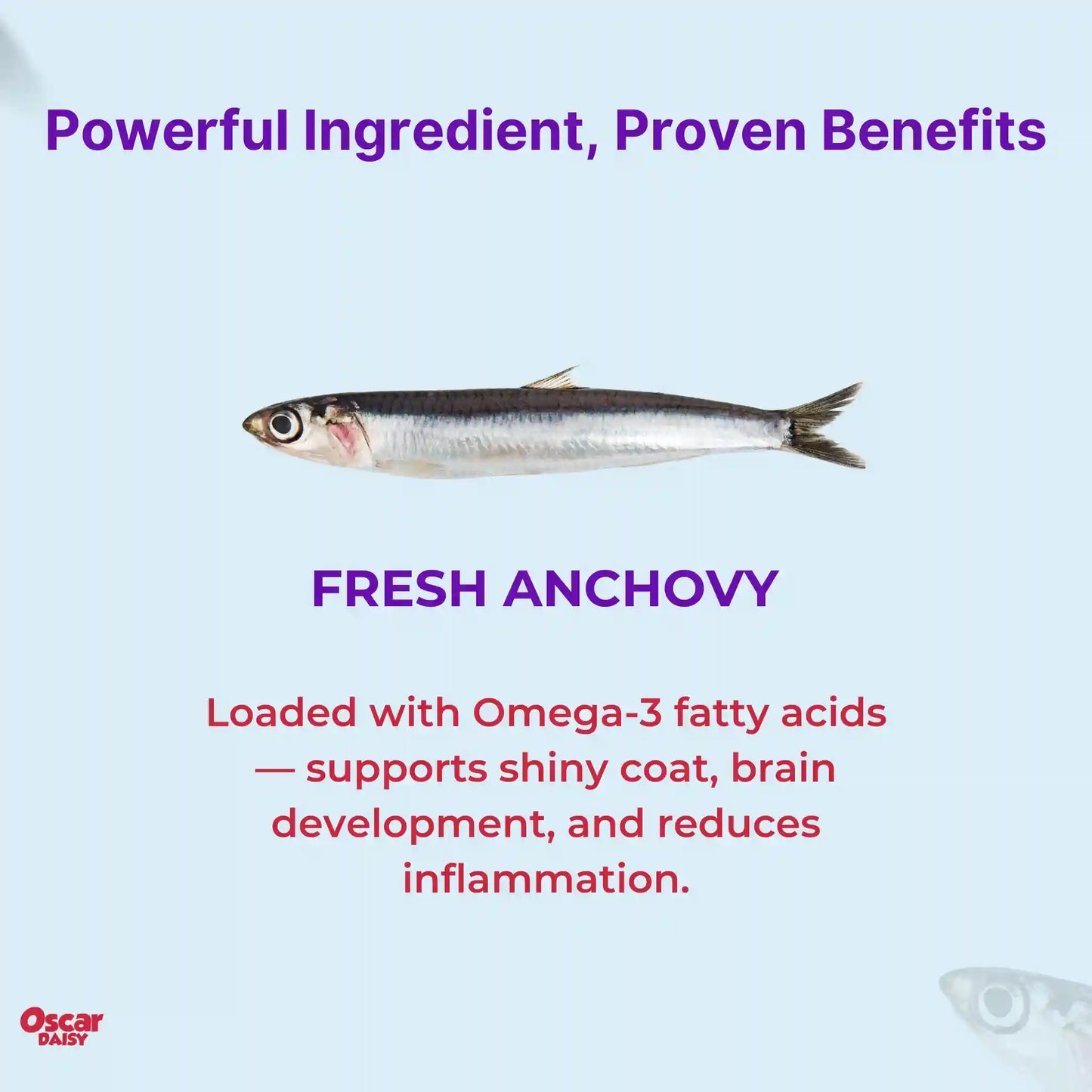 Fresh anchovy with text about its benefits on a light blue background