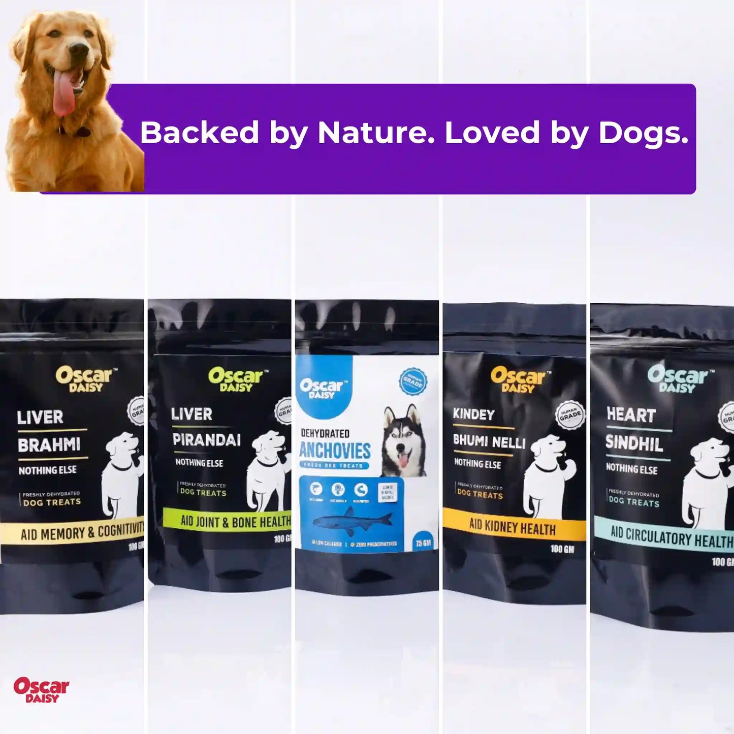 Oscar Dandy dog treat packages with a dog on a purple banner and 'Backed by Nature. Loved by Dogs.' text.
