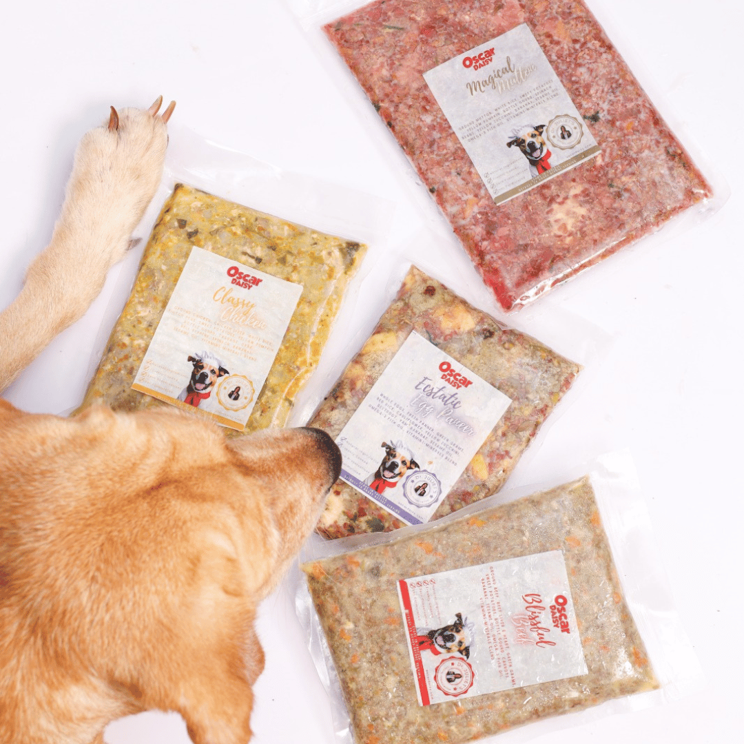 Oscar Daisy dog food packages with a dog sniffing at them on a white background
