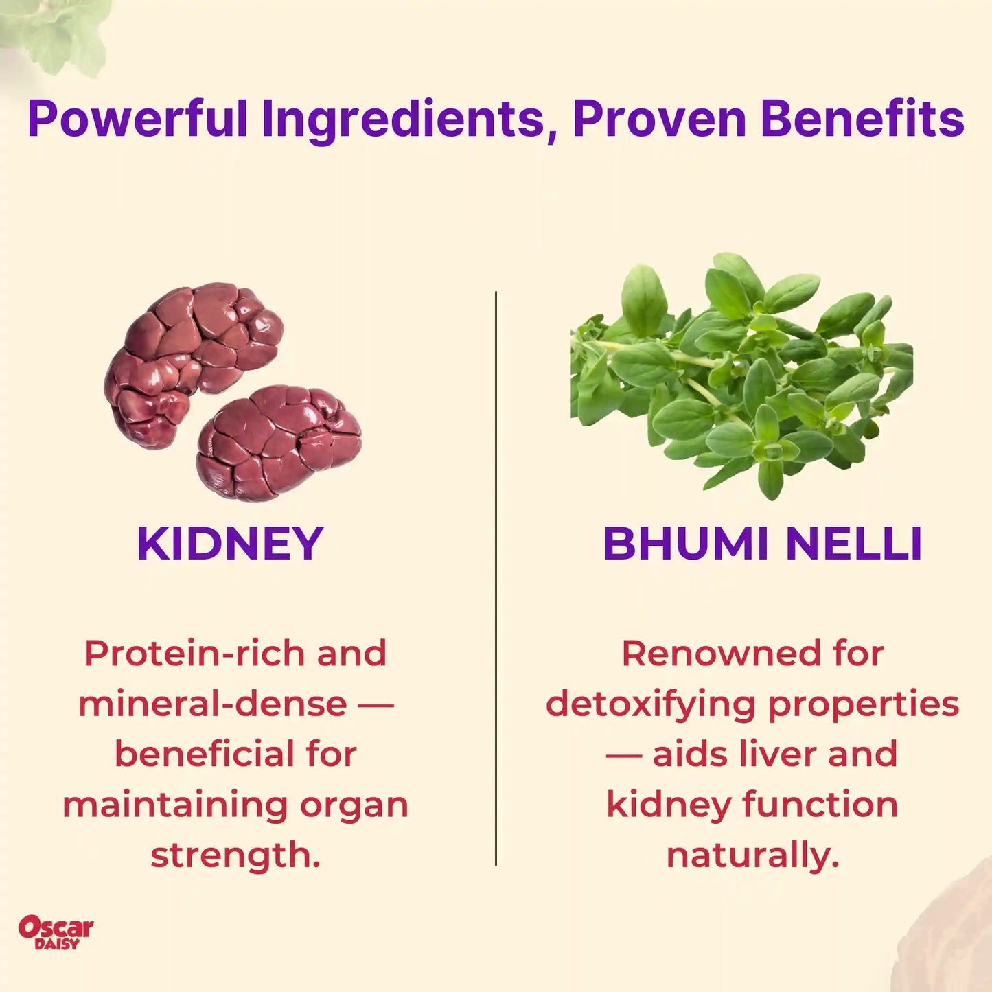 Kidney with Bhumi Nelli