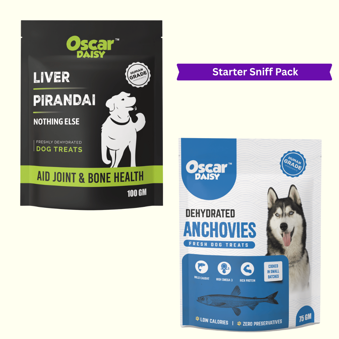 Starter Sniff Pack