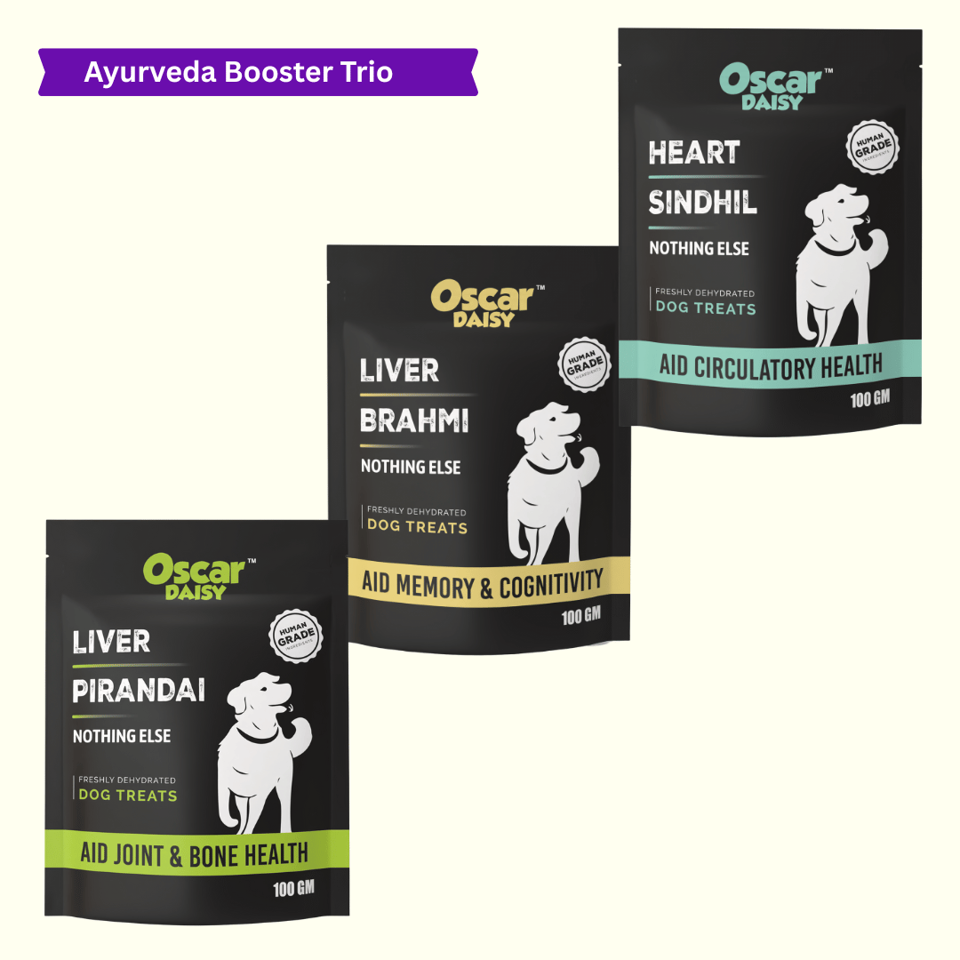 Ayurveda Booster Trio