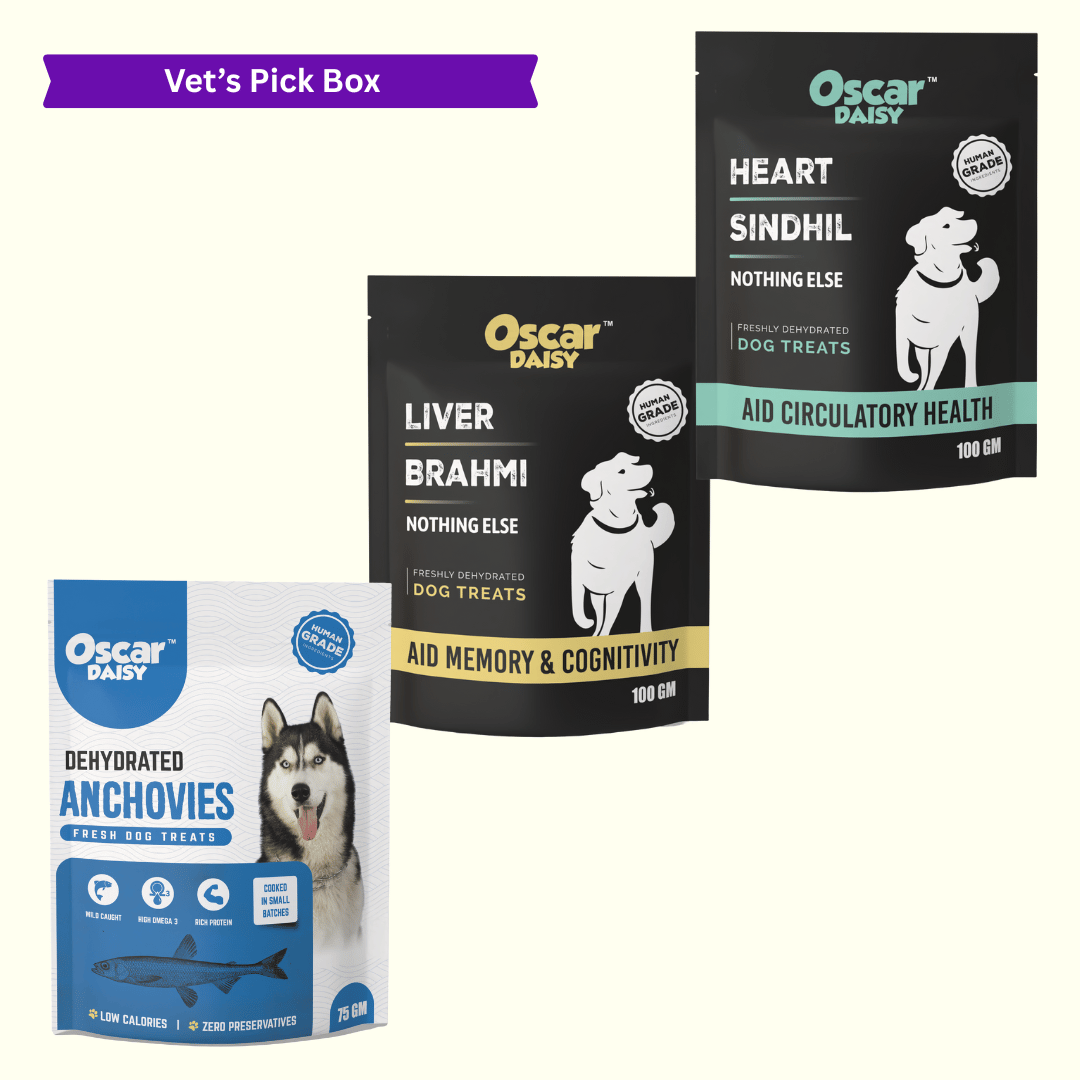Vet’s Pick Box