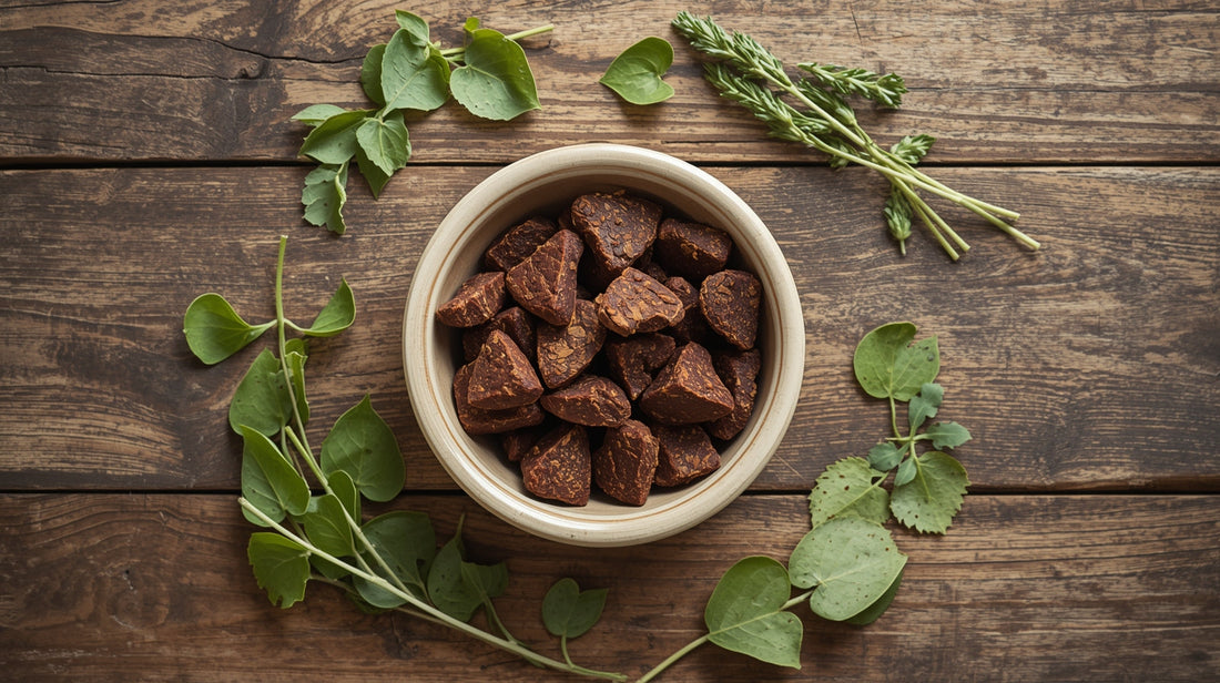 Gourmet dog treats surrounded by fresh Pirandai, Brahmi, and Sindhil Ayurvedic herbs for wellness.
