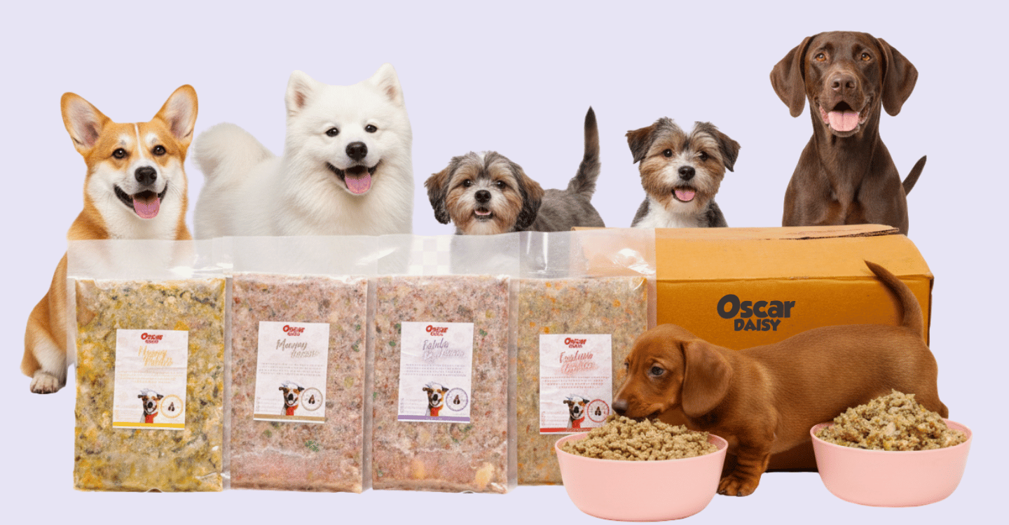Group of dogs with Oscar Daisy dog food packages and bowls on a white background.