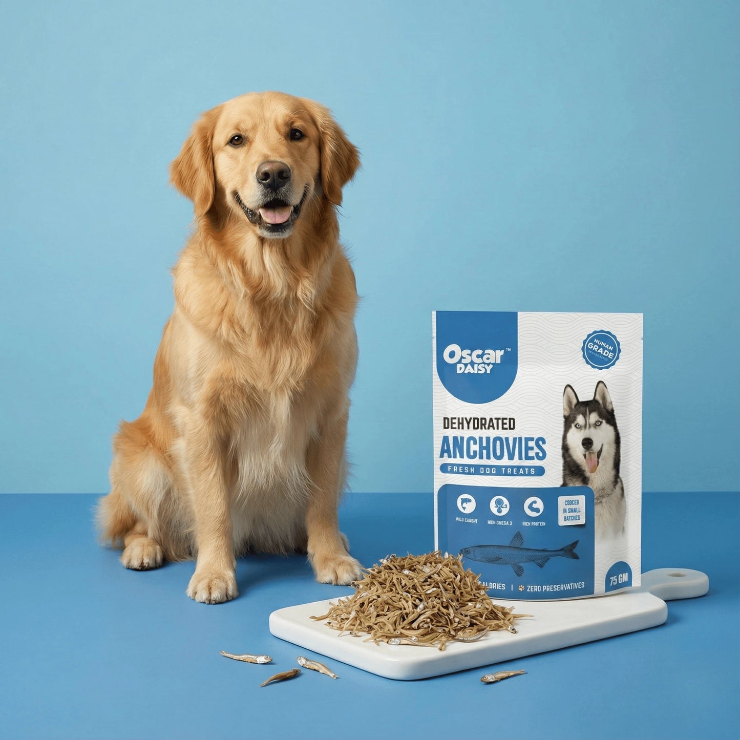 Dog sitting next to a box of Oscar Daisy dehydrated anchovies treats on a blue background
