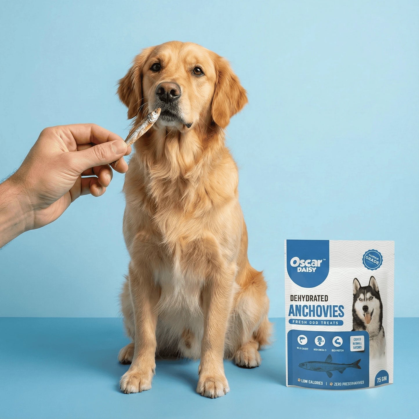 Dog being fed a treat with a box of Oscar Daisy dehydrated anchovies treats in the background