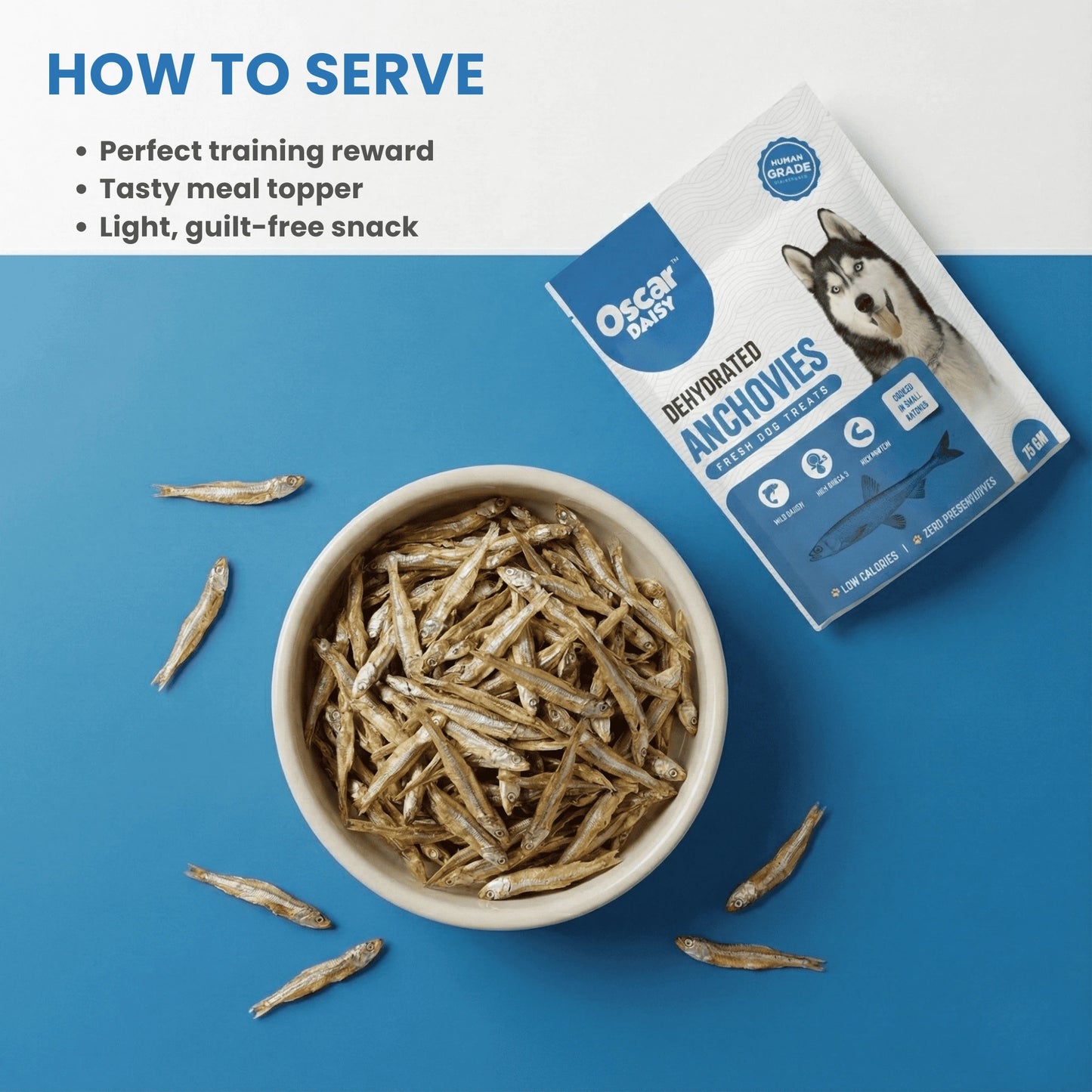 Top-down view of a bowl filled with Oscar Daisy dehydrated anchovy dog treats on a blue surface, with the Oscar Daisy Anchovies pouch beside it.