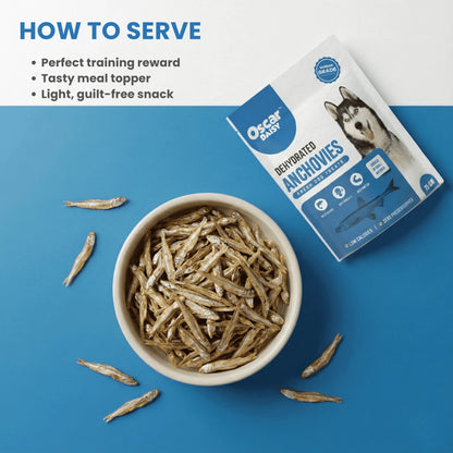 Top-down view of a bowl filled with Oscar Daisy dehydrated anchovy dog treats on a blue surface, with the Oscar Daisy Anchovies pouch beside it.