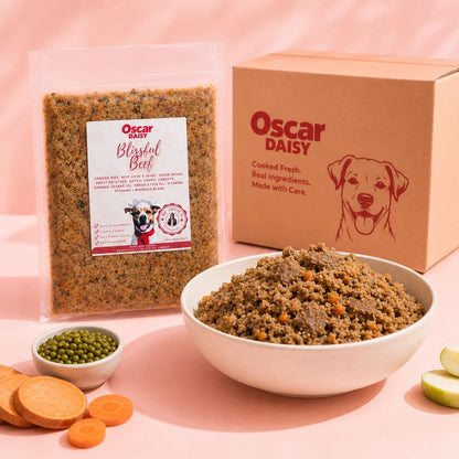 Fresh Dog food from Oscar Daisy on a pink background
