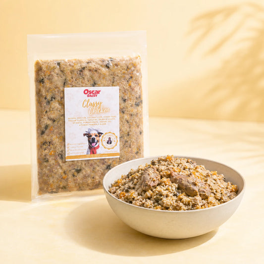 Oscar Daisy fresh dog food package and bowl with dog food on a yellow background