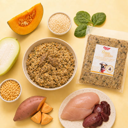 Dog food ingredients including fresh chicken, pumpkin, sweet potato on a yellow background.
