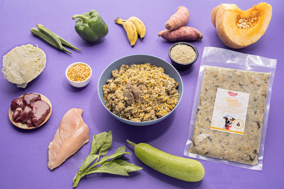 Assorted food items including a bowl of Oscar Daisy dog food chicken recipe, vegetables, and a package on a purple background