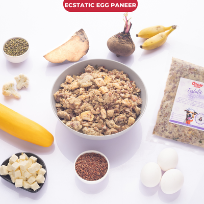 Oscar Daisy egg paneer dog food on a white background with 'Ecstatic Egg Paneer' branding.