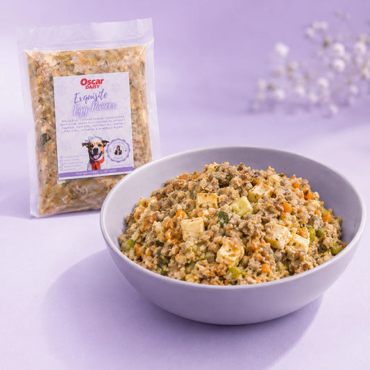 Bowl of dog food with Oscar Daisy package on a purple background