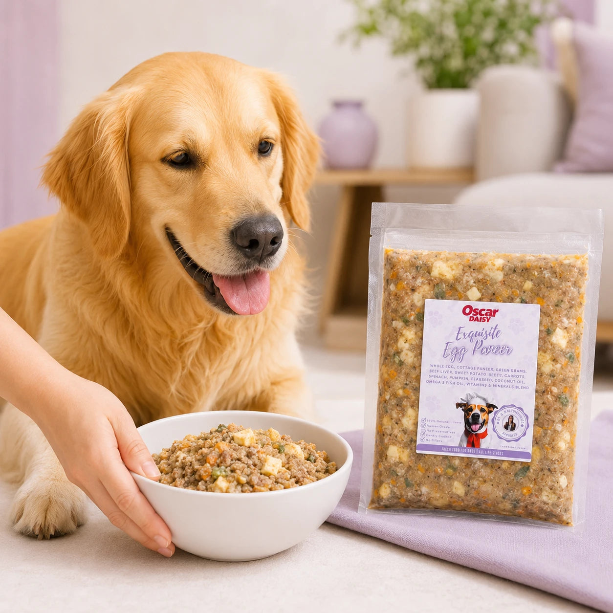 Dog with a bowl of  Oscar Daisy food in a home setting