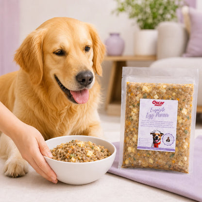 Dog with a bowl of  Oscar Daisy food in a home setting