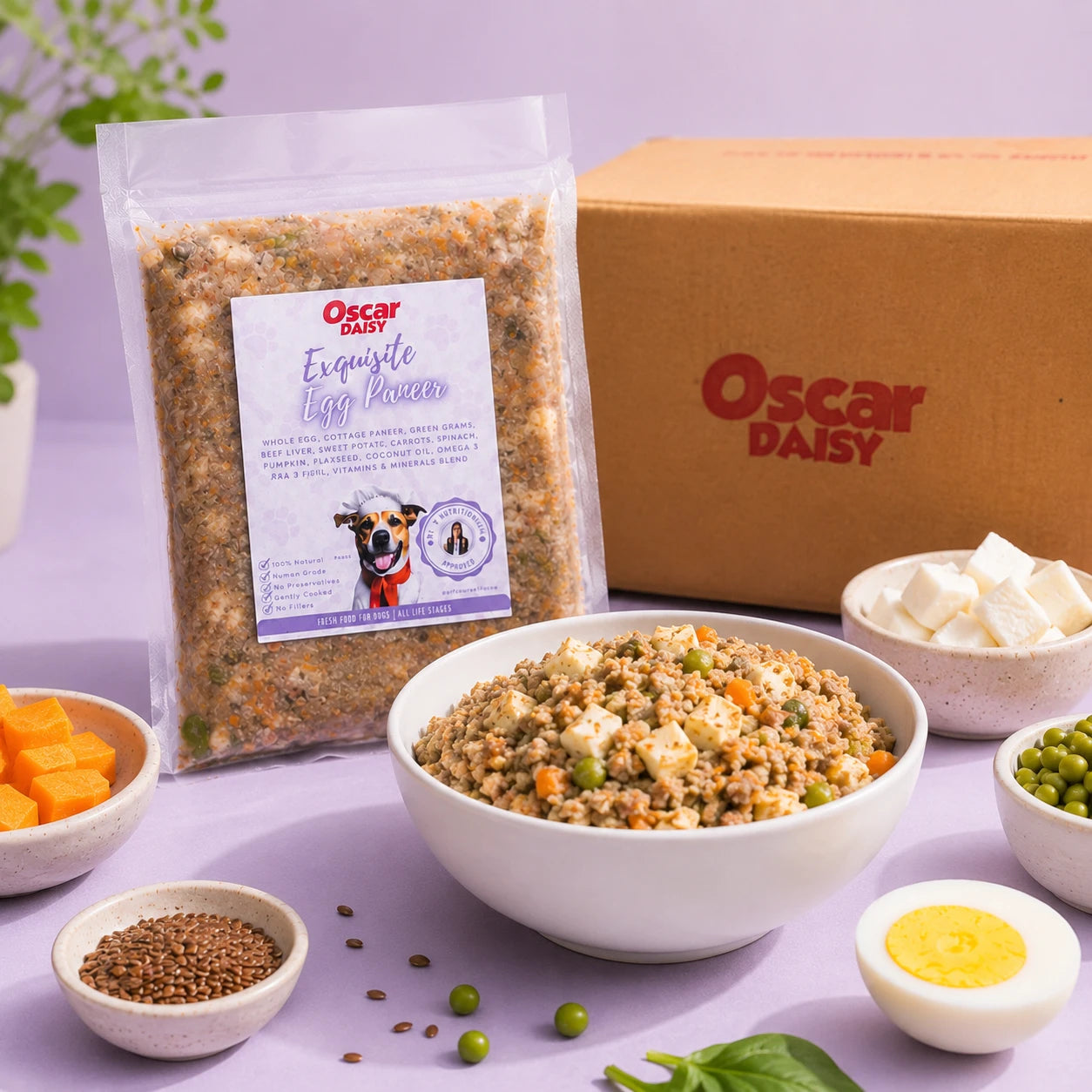 Oscar Daisy Fresh Dog Food with a packaging box