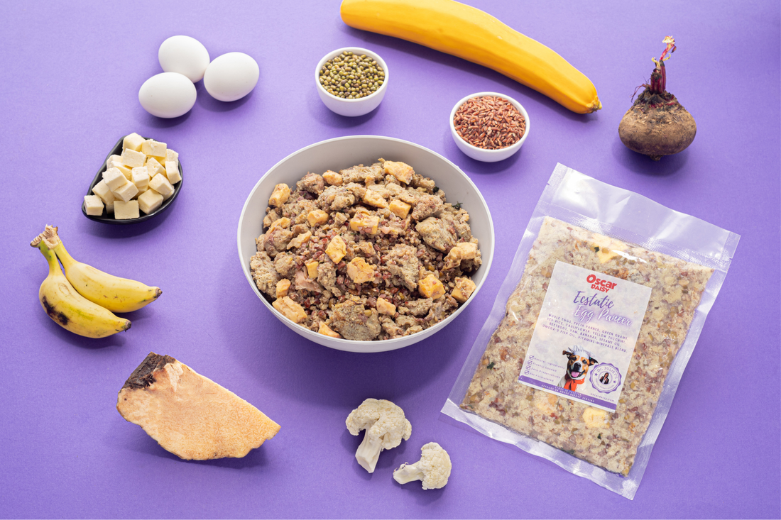Oscar Daisy dog food mix with ingredients and packaging on a purple background