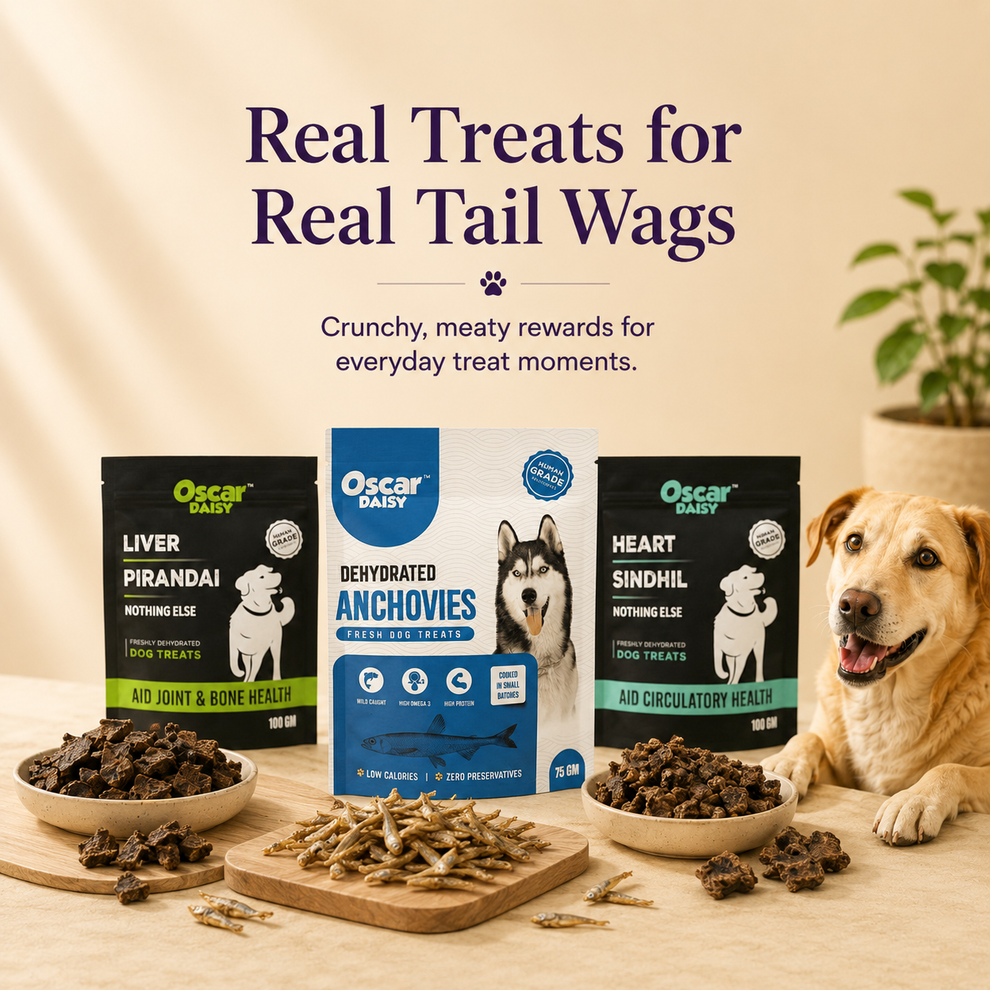 Dog treats with Oscar Daisy packaging on a wooden table, featuring a dog and text about treats.