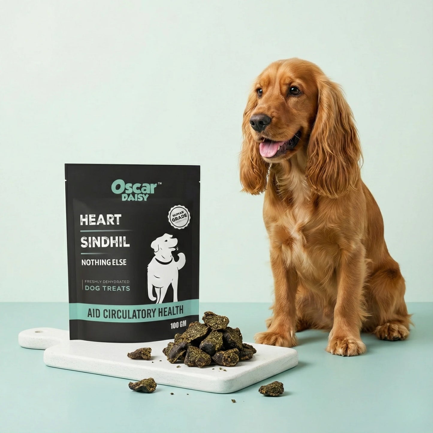 Dog sitting next to a package of Oscar Daisy dog treats on a light blue background