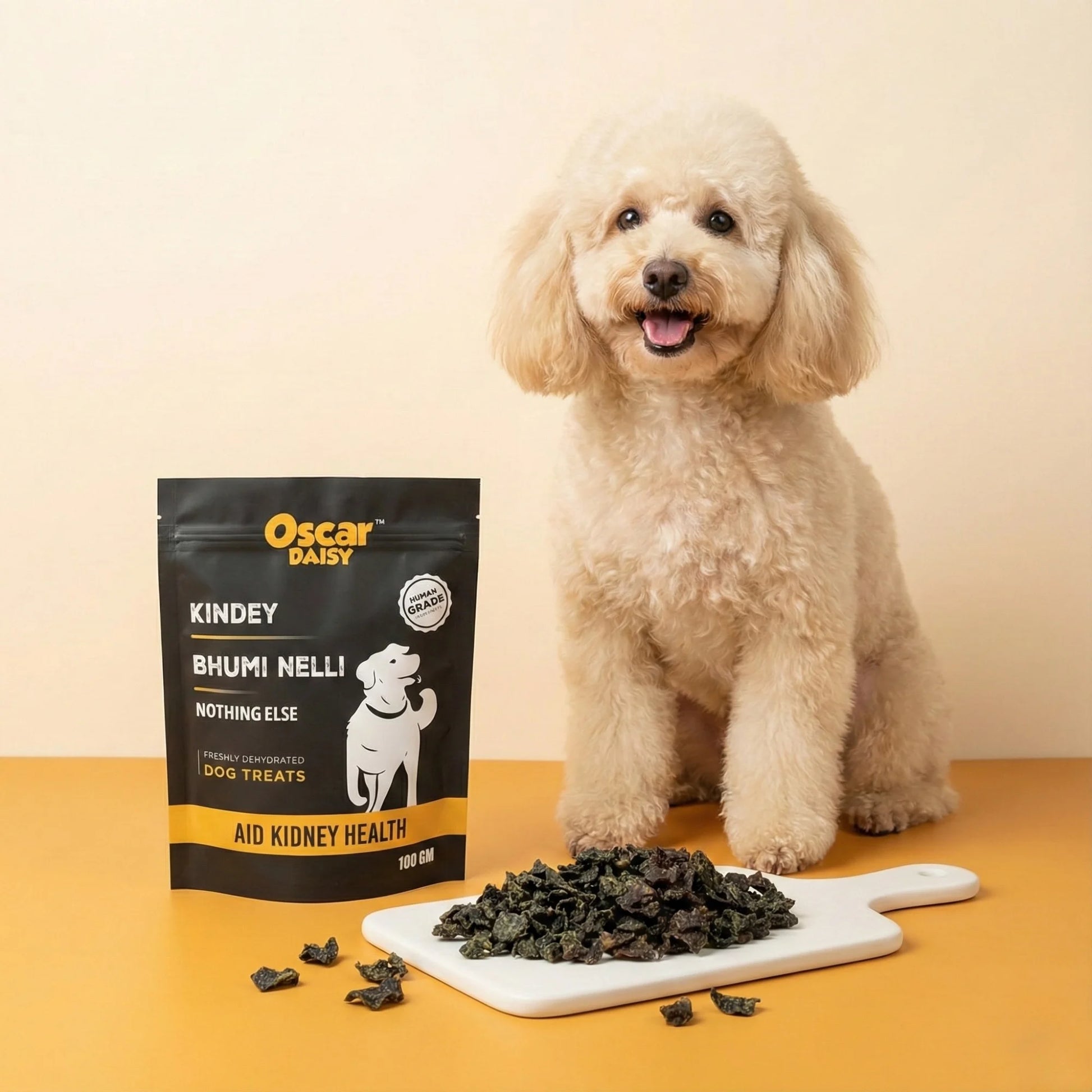 Dog standing next to a bag of Oscar Daisy dog treats on a yellow background