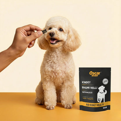 Dog being fed a treat with an Oscar Daisy dog treats packaging in the background