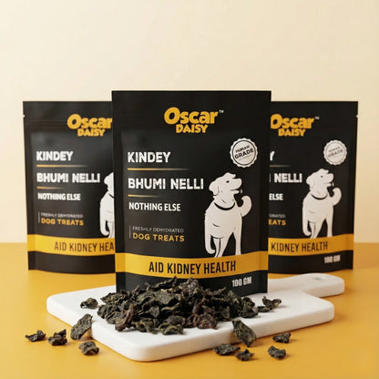 Oscar Daisy dog treat packages on a yellow background