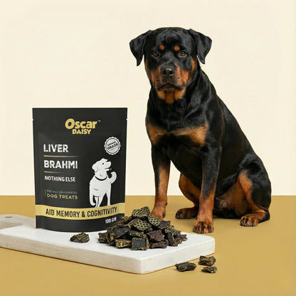 Dog sitting next to a bag of Oscar Daisy dog treats on a beige background
