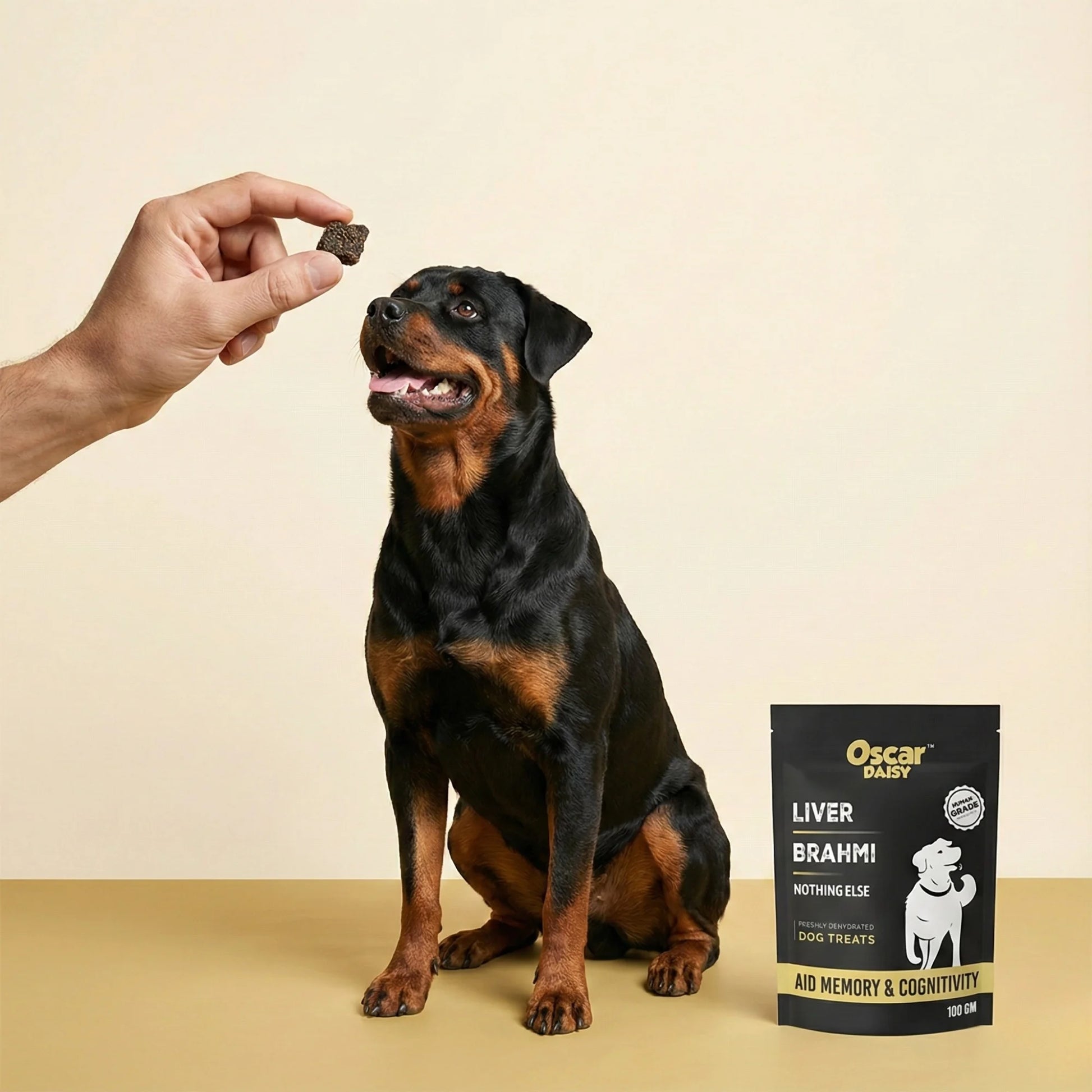 Dog sitting next to a box of Oscar Daisy dog treats on a beige background