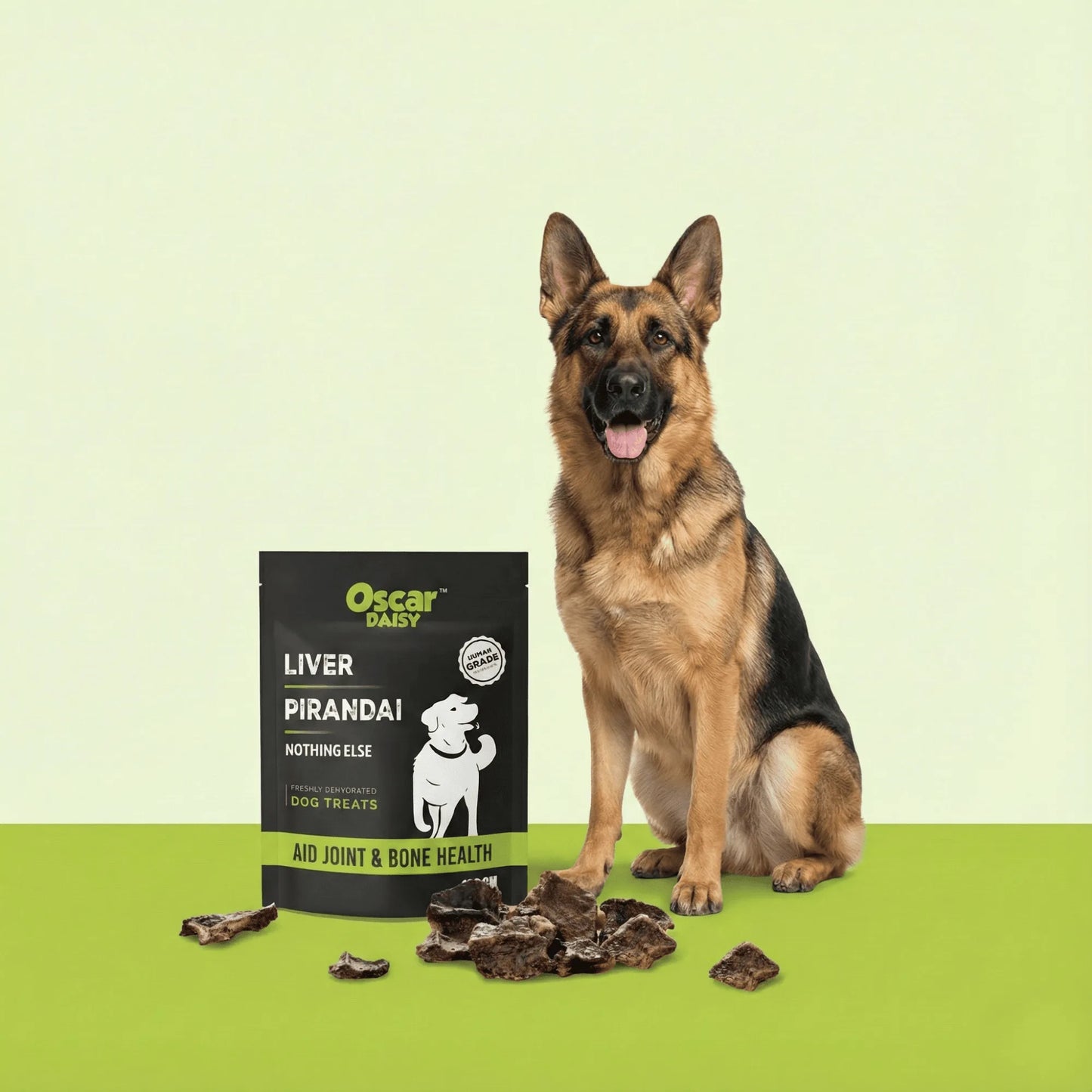 German Shepherd sitting beside Oscar Daisy Liver Pirandai dog treats pouch with crunchy joint and bone health treats on green floor