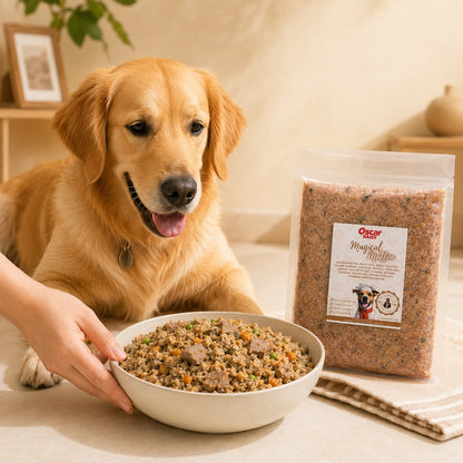 Dog with a bowl of fresh food