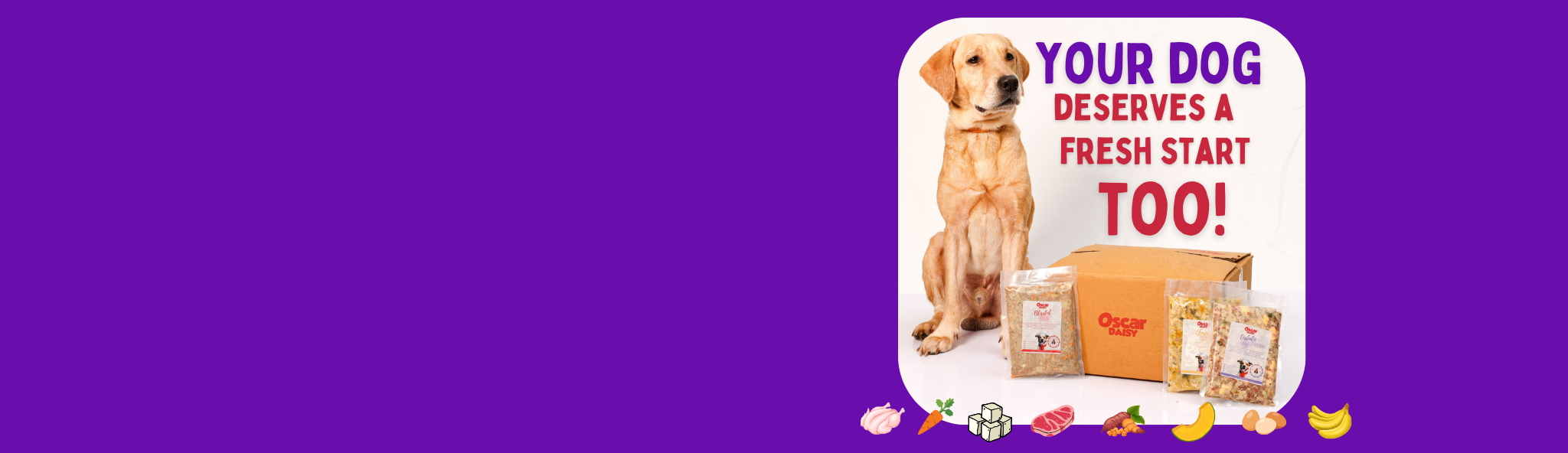 Promotional banner with a dog and pet products on a purple background, featuring text 'Your dog deserves a fresh start too!'.