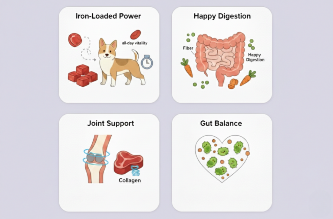 Four cards highlighting 'Iron-Loaded Power', 'Happy Digestion', 'Joint Support', and 'Gut Balance' with corresponding images and text on a light purple background.